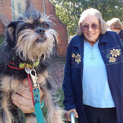 Blessing of the Animals